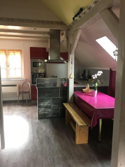 Appartement Petit Cocoon Au Calme Avec Exterieur à Lièpvre Extérieur photo